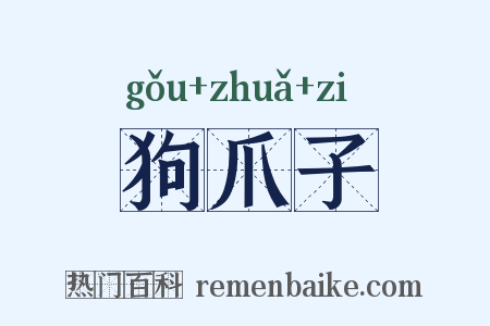 狗爪子是什么意思的图片